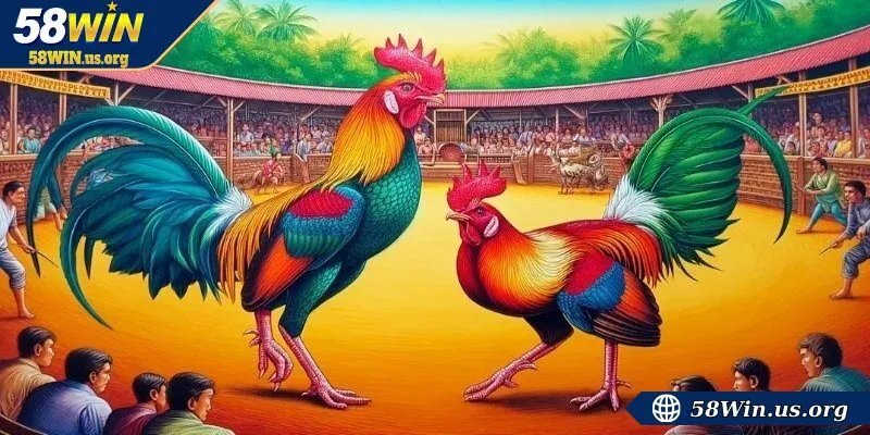 Chọn nhà cái uy tín khi tham gia đá gà trực tiếp